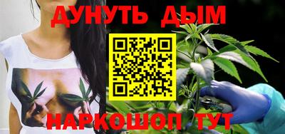 индика Будённовск