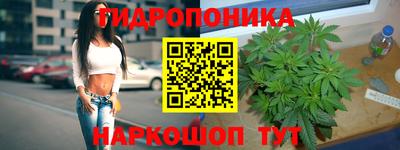 спайс Бузулук