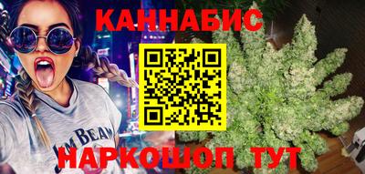 индика Будённовск