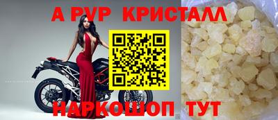 индика Будённовск