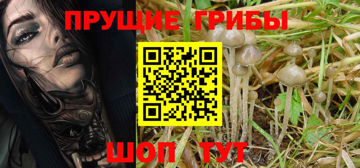 Галлюциногенные грибы прущие грибы Десногорск