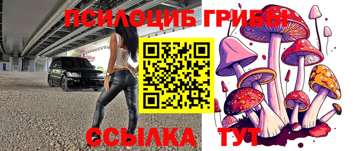 где продают   Десногорск  Псилоцибиновые грибы Psilocybine cubensis 