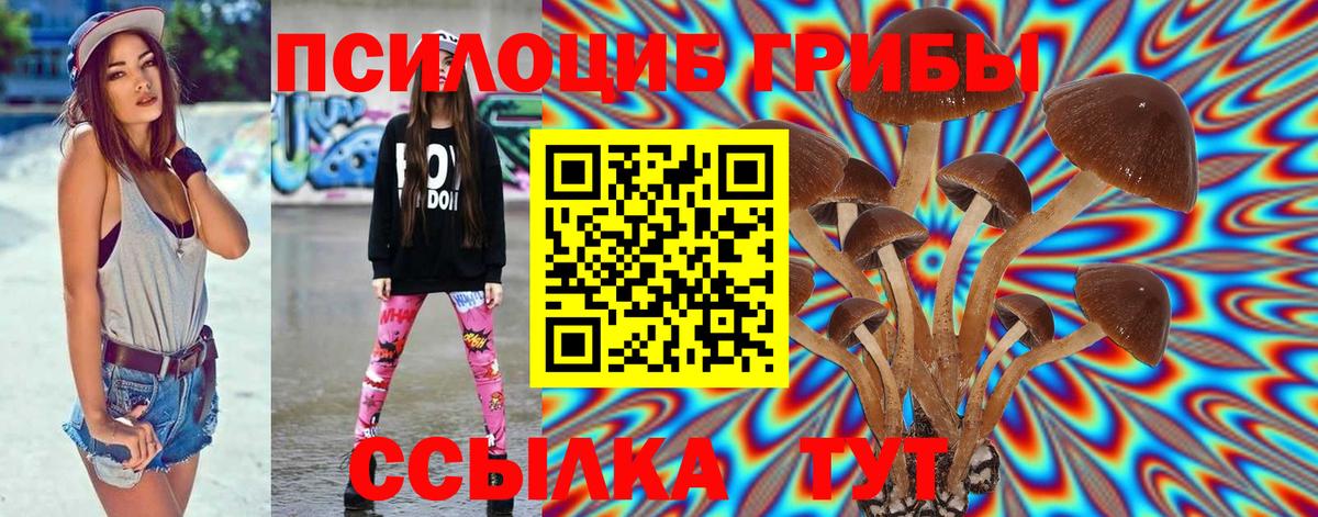 Псилоцибиновые грибы Psilocybe  Вход с VPN  Десногорск  Галлюциногенные грибы мицелий 